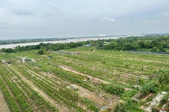 Sông Hồng trục trung tâm, động lực phát triển chiến lược mới của Thủ đô