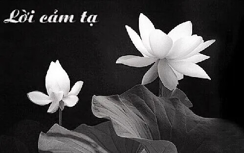 Lời cảm ơn