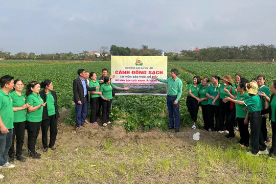 Xã Thư Lâm đẩy mạnh mô hình sản xuất nông nghiệp kinh tế cao