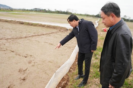 Xã Hưng Đạo gieo cấy 855ha lúa vụ xuân