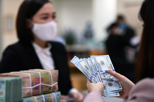 Tỷ giá VND/USD trên thị trường tự do giảm trong sáng 23-1