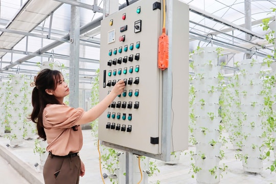 “Sản xuất an toàn chính là chìa khóa nâng tầm sản phẩm nông nghiệp”