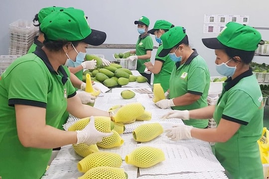 Tổng kim ngạch xuất khẩu nông, lâm, thủy sản phấn đấu đạt 73-74 tỷ USD