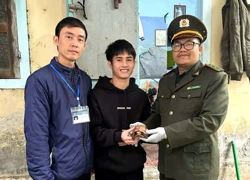 TP Huế Thả cá thể rùa sa nhân quý hiếm về môi trường tự nhiên