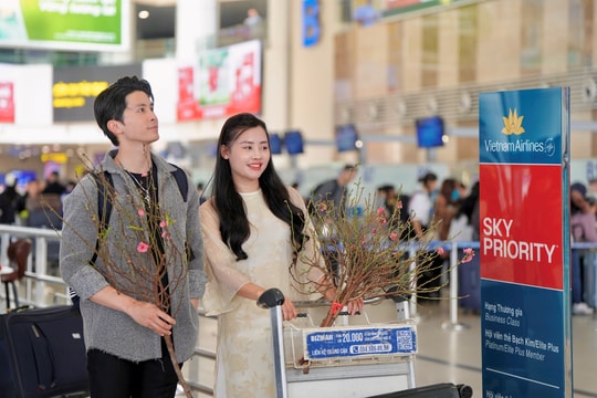 Vietnam Airlines và Pacific Airlines vận chuyển mai, đào Tết