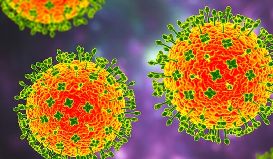 Bộ Y tế Việt Nam chưa ghi nhận trường hợp mắc virus Nipah