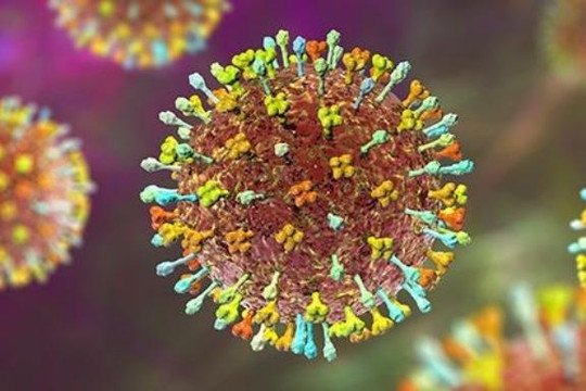 Ứng phó dịch virus Nipah: Nhiều sân bay lớn giám sát y tế như thời COVID-19