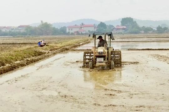 Hà Nội và 5 tỉnh thành Bắc Bộ phấn đấu hoàn thành lấy nước sản xuất vụ Xuân trước Tết Bính Ngọ