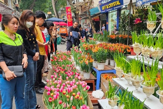 Lễ hội hoa - cây cảnh Thủ đô sẽ diễn ra tại Công viên Thiên văn học