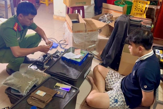 Đà Nẵng: Bắt vụ trồng, tàng trữ, mua bán cần sa lớn nhất từ trước đến nay