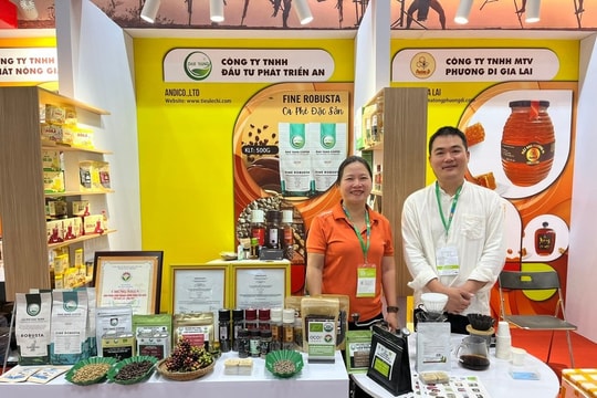 Gia Lai: Hỗ trợ chuyển đổi hơn 3.000 hộ kinh doanh thành doanh nghiệp