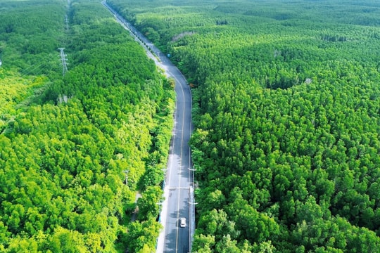 TP Hồ Chí Minh: Phát triển Cần Giờ thành cực tăng trưởng du lịch mới