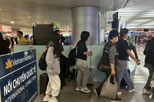 Sân bay Tân Sơn Nhất phát khuyến cáo liên quan virus Nipah