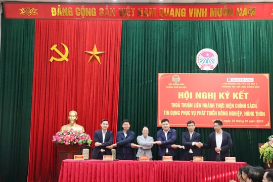 Phối hợp hỗ trợ nông dân tiếp cận vốn phát triển sản xuất