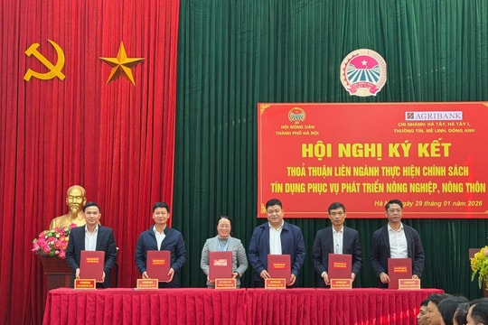 Tăng cường hợp tác tín dụng, mở rộng cơ hội tiếp cận vốn cho nông dân phát triển sản xuất