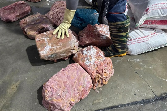 Hà Nội: Phát hiện kho lạnh trữ hàng chục tấn lòng lợn không nguồn gốc suốt nhiều tháng