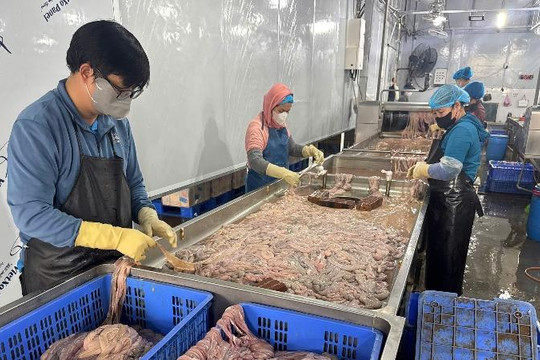 Hà Nội phát hiện kho lạnh với gần 60 tấn lòng lợn không rõ nguồn gốc