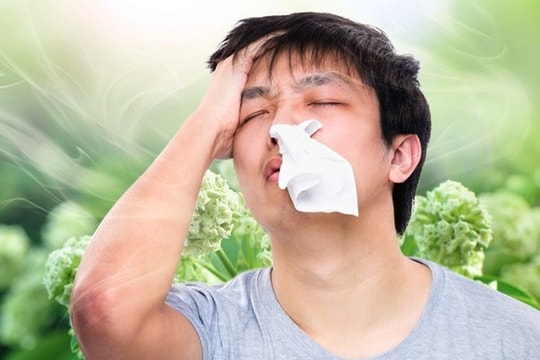 Bác sĩ tại nhà: Bảo vệ sức khỏe hô hấp ở môi trường công sở