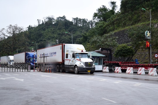 Hơn 700 lô hàng nhập khẩu được tháo gỡ ách tắc