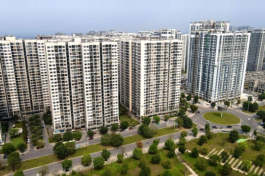 Hộ, cá nhân cho thuê bất động sản phải nộp những loại thuế nào?
