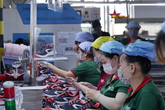 Ngành da giày Việt Nam giữ vững vị thế toàn cầu, đối mặt thách thức chuỗi cung ứng