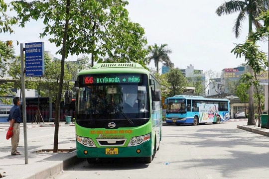 Transerco điều chỉnh lộ trình, tên 4 tuyến buýt số 116, 66, 67 và 115