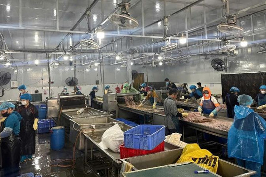 Xã Nam Phù thông tin chính thức về vụ thu giữ hơn 60 tấn thực phẩm không rõ nguồn gốc