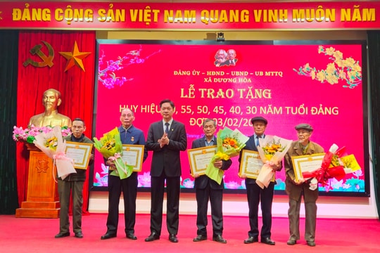 Dương Hòa trao Huy hiệu Đảng tặng 22 đảng viên đợt 3-2