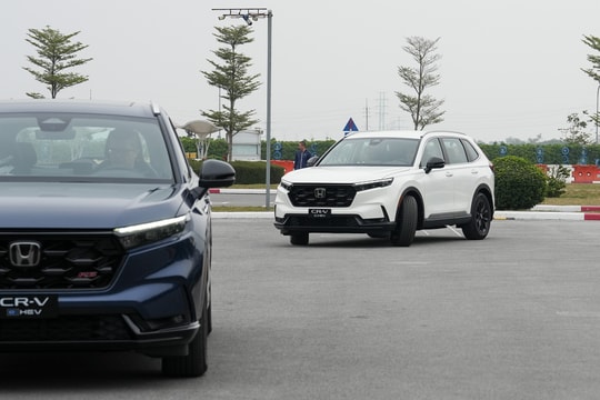 Nhà sản xuất ô tô Nhật Bản đầu tiên xuất xưởng xe hybrid tại Việt Nam