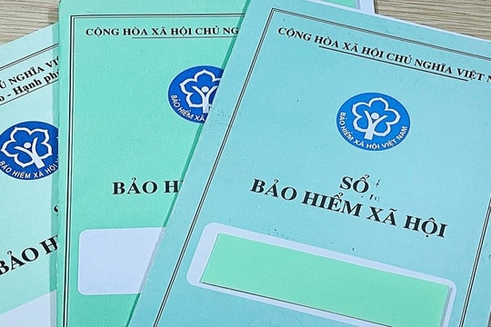 TP.HCM: Triển khai hướng dẫn của Bộ Công an về pháp luật hình sự trong lĩnh vực BHXH
