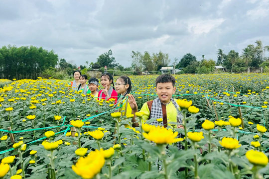 Đà Nẵng: nuôi dưỡng làng hoa truyền thống Hà Đông
