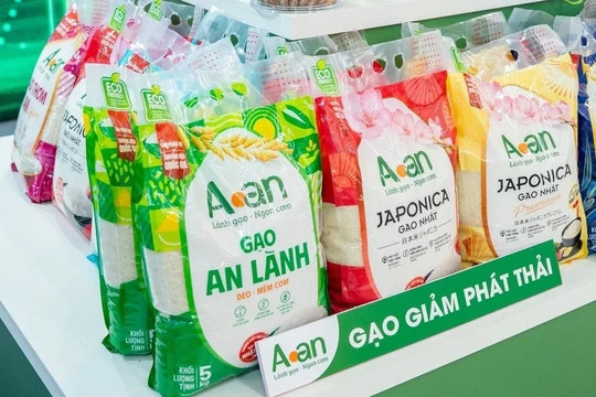 Nâng tỷ trọng gạo thơm trong xuất khẩu năm 2026