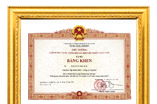 Madame Nguyễn Thị Nga và Tập đoàn BRG vinh dự được trao tặng Bằng khen của Thủ tướng Chính phủ