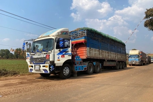 Thủ tướng chỉ đạo tháo gỡ vướng mắc trong triển khai Nghị định 46/ 2026 /NĐ-CP về an toàn thực phẩm