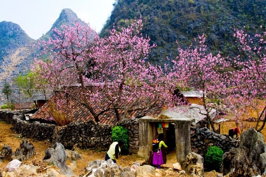 Mùa xuân đợi em về