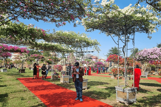 Lễ hội hoa, cây cảnh, sản phẩm OCOP - tái hiện sống động không gian “Tết Việt – Hồn cốt người Việt“