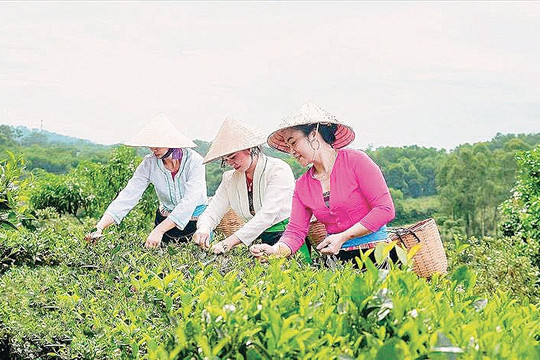 Sắp diễn ra Triển lãm sản phẩm thủ công mỹ nghệ phục vụ Xuân Bính Ngọ 2026 tại xã Suối Hai