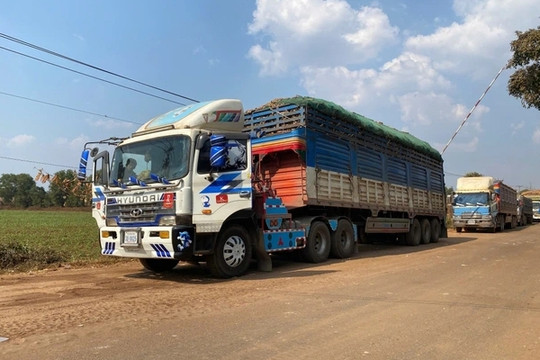 Thủ tướng chỉ đạo tháo gỡ vướng mắc trong triển khai Nghị định 46/2026/NĐ-CP về an toàn thực phẩm