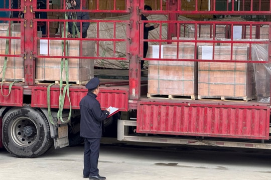 Hải quan yêu cầu trực 24/24 giờ, ưu tiên thông quan thực phẩm nhập khẩu tồn đọng