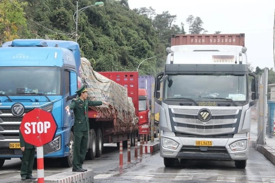 Tạm dừng áp dụng Nghị định 46 về an toàn thực phẩm đến hết ngày 15-4-2026