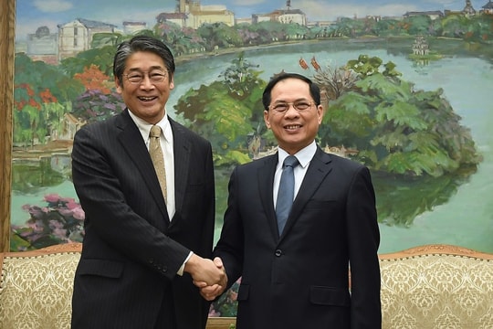 Phó Thủ tướng Bùi Thanh Sơn tiếp Đại sứ Nhật Bản Ito Naoki