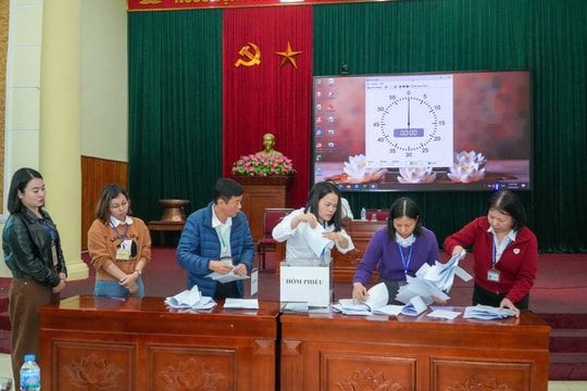 Chuyên Mỹ đấu giá thành công 17 thửa đất, thu hơn 62 tỷ đồng