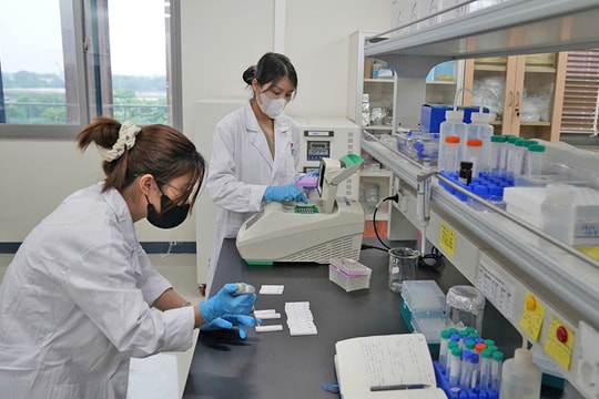Khoa học, công nghệ, đổi mới sáng tạo và chuyển đổi số: Động lực trung tâm của phát triển