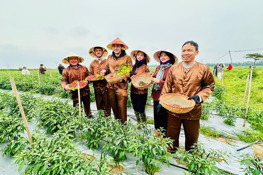 Đa Phúc - điểm đến du lịch xanh