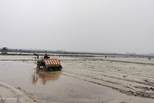 Xã Ứng Thiên đẩy nhanh tiến độ sản xuất, phát huy hiệu quả cấy máy
