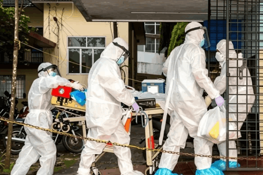 WHO xác nhận ca tử vong do nhiễm virus Nipah