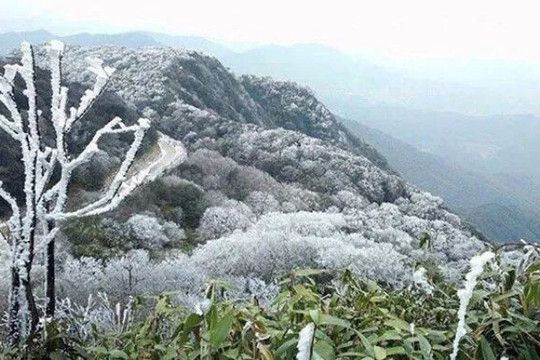 Không khí lạnh tăng cường, khu vực Bắc Bộ giảm từ 7-10 độ C, có nơi dưới 3 độ C