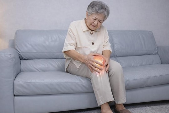 Liệu pháp phục hồi vận động hệ cơ xương khớp Chìa khóa lấy lại chất lượng sống cho người bệnh cơ xương khớp