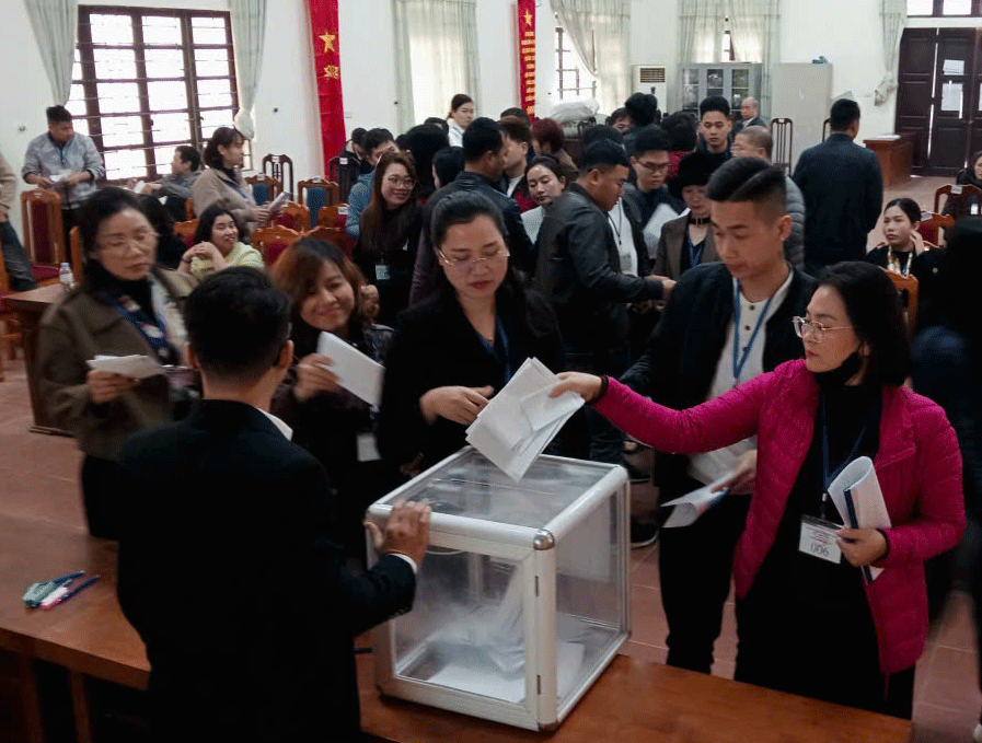Kiều Phú đấu giá thành công 33 lô đất, thu hơn 145 tỷ đồng