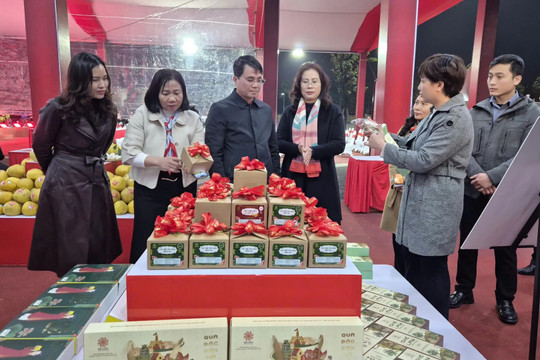 Hà Nội khai mạc chuỗi không gian quảng bá sản phẩm OCOP phục vụ Tết Bính Ngọ 2026